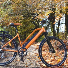 Juicy Bike Roller Hybrid Step Through Electric Bike Juicy Bike Electric Bike - Generation Electric